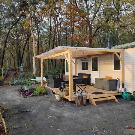 Chalet Met Veranda Aan Bosrand Vledder Eksteriør billede
