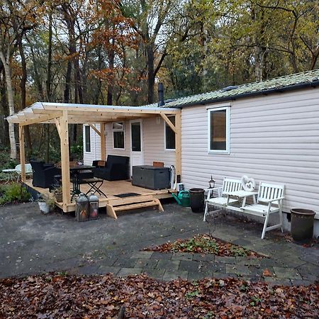 Chalet Met Veranda Aan Bosrand Vledder Eksteriør billede