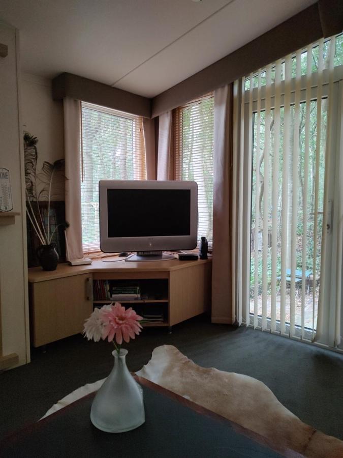 Chalet Met Veranda Aan Bosrand Vledder Eksteriør billede