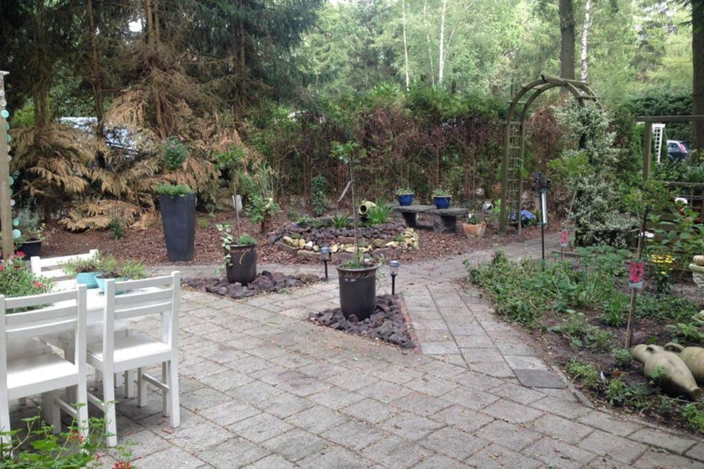 Chalet Met Veranda Aan Bosrand Vledder Eksteriør billede